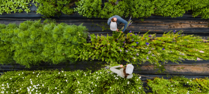 Votre culture d’entreprise est-elle en friche ?