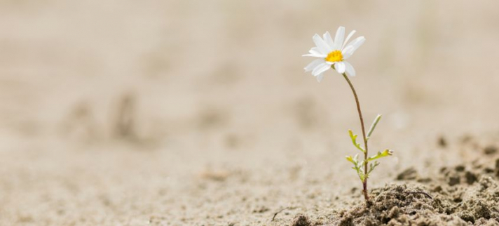 Chroniquement débordés, tout en restant performants et motivés… Comment font-ils ?