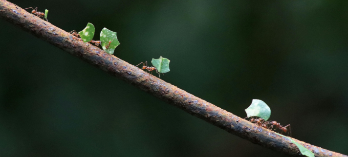 Climat : les entreprises engagées sont aussi les plus silencieuses 