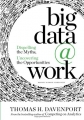 Big Data at Work