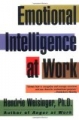 Emotional Intelligence at Work