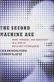 The Second Machine Age