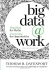 Big Data at Work