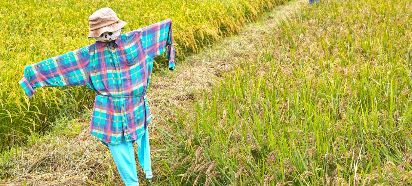 Influencing behaviors through nudges