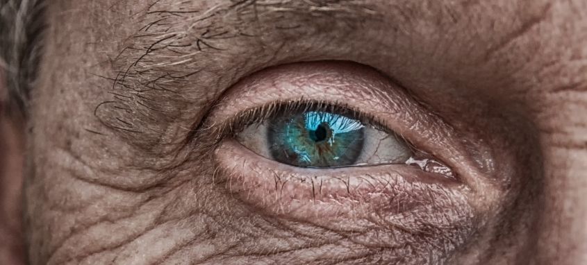 Take advantage of the potential of older workers