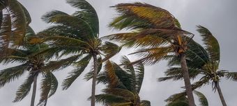 Manage change successfully in a turbulent environment