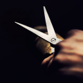 How to really benefit from spending cuts?