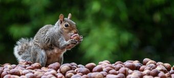 Quelle politique de prix pour préserver ses marges ?