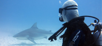 Maîtriser ses réactions sous pression